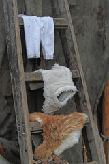 W&auml;schest&auml;nder