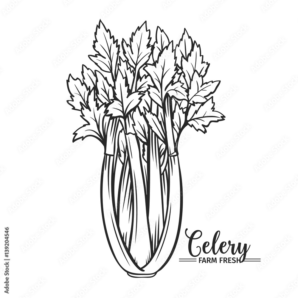 Wall mural Hand drawn celery icon. - Wall murals