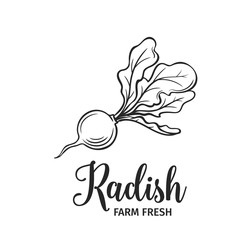 Hand drawn radish icon.