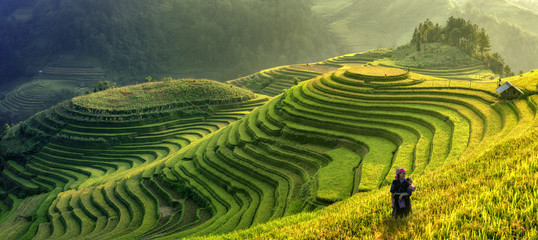 Panorama symbol of Vietnamese rice terraces,Mu cang chai.Yenbai,Vietnam.