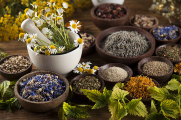 Alternative medicine, dried herbs and mortar on wooden desk background