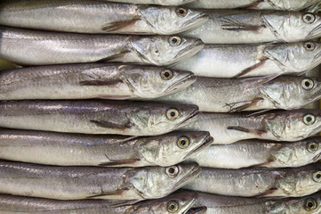 Obraz premium Pescheria