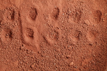 The lateritic soil with hole represent the surface background and texture concept related idea.