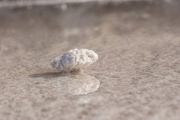 Salt Crystal at the Salt Lake in Djibouti