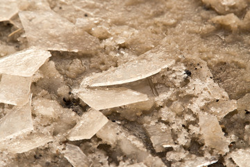 winter ice on the ground as a background