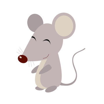 Mouse On White Background