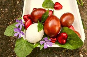 Easter eggs and flowers periwinkle with chocolate hearts