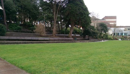 garden © CarmenMaria