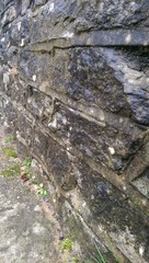 wet wall