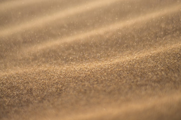 desrt sand close up background