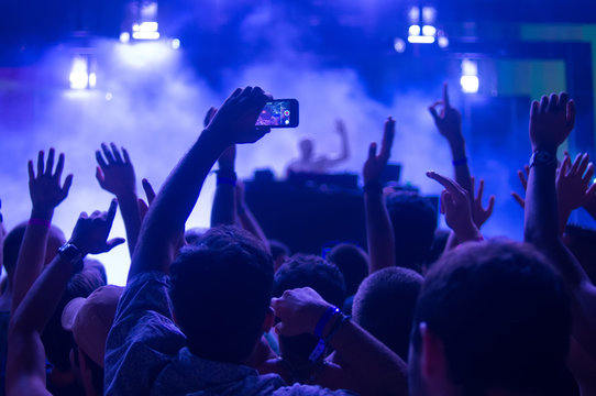 Festival Crowd