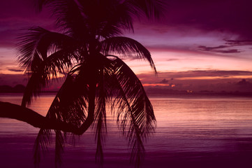 red tropical sunset
