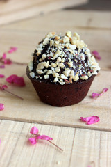 Chocolate cupcakes
