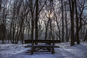 Bench covered with snow in the park