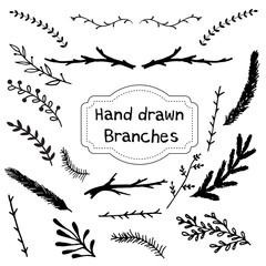 Set of hand drawn branches. Ink illustration.