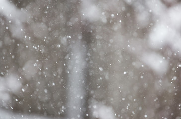 snow in the air as a background