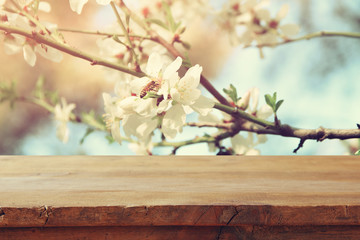 wooden table in front of spring cherry tree