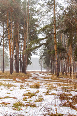 early spring   © irina_g