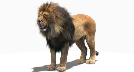 Lion (3D) © ANDRANIK