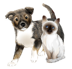 portrait of the  cute puppy and thai kitten. Cat and dog are friends. - 139218106
