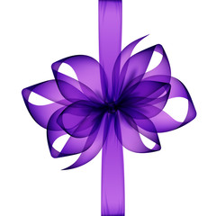 Vector Purple Transparent Bow and Ribbon Top View Close up Isolated on White Background
