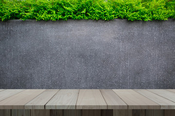 Concrete wall or marble wall and wooden floor with ornamental plants or ivy or garden tree for...