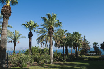 sea of galilee, Israel