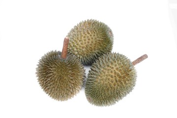 durian with shell, King of fruit on white background.