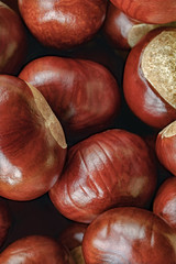 Obraz premium brown chestnuts background