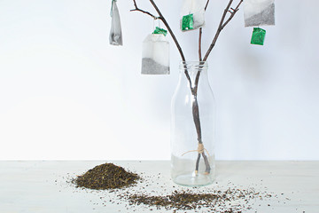 Mock tea tree
