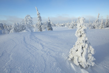 Winter landscape. Finnish lapland