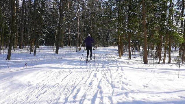 People ride on ski in winter forest