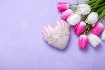 Pink  and white tulips flowers and decorative heart  on violet  textured background.