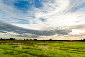 Fototapeta premium colorful dramatic sky with cloud at sunset