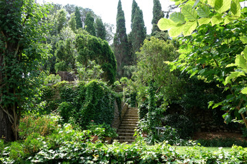 Villa San Michele, Capri