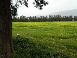 Landscapes Blida Algeria