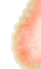 false teeth on a white background
