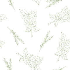 Vector seamless pattern texture with hand drawn herbs