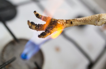 singeing chicken on fire