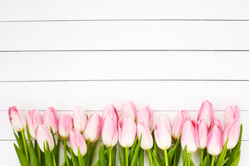 Pink tulips on white wooden background. Top view, copy space
