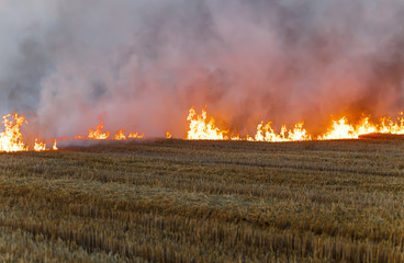 field burning