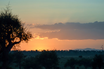 Rise of mist on the savanna