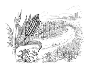 Hand drawn vector illustration sketch rural landscape field house granary