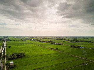 Fototapeta na wymiar Aerial View - Green Paddy Fields