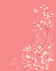 spring season vector background with butterflies among sakura flowers