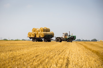 Fototapeta premium Vinnitsa,Ukraine - July 26,2016.huge tractor collecting haystack in the field at nice blue sunny day,Tractor collecting straw bales,Agricultural machine collecting bales of hay,harvest concept