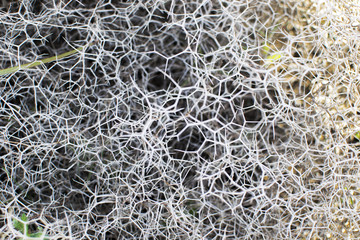 The molecular structure. Texture
