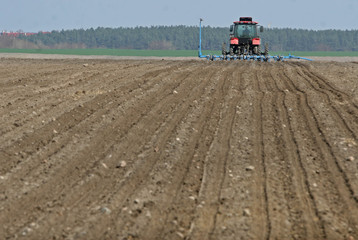 Fototapeta premium Tractor preparing land for sowing. Tractor with cultivator handles field before planting. Preparing land for sowing at spring, farmer in tractor.