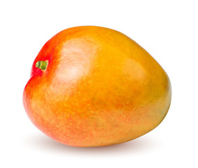 Isolated organic mango. Mango fruit isolated on white background with clipping path