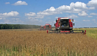 Combine to the mowing removes wheat on the field.  Harvester removes the ripened wheat crop on the field